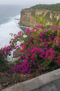 Palmblattlesen auf Bali (Vortrag)