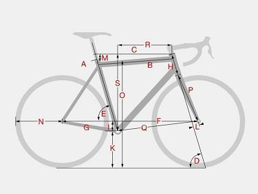 Rennrad Kaufberatung Körpervermessung Bike Fitting