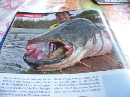 Karpfen Angel Zeitschriften 9 Stück Nr. 2