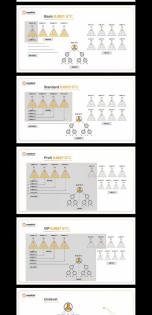 Online Network Marketing