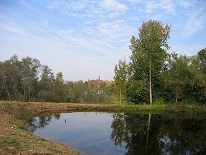Countryside house,sauna,river for sale ABROAD