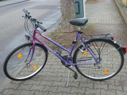 (223) 18 Gang 28 Zoll Rh 53