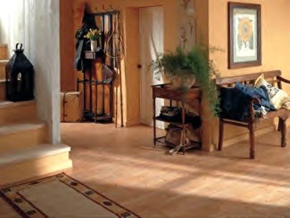 Laminat und Parkett mit Verlegung ab 19,00 € /qm ( Sachsen )