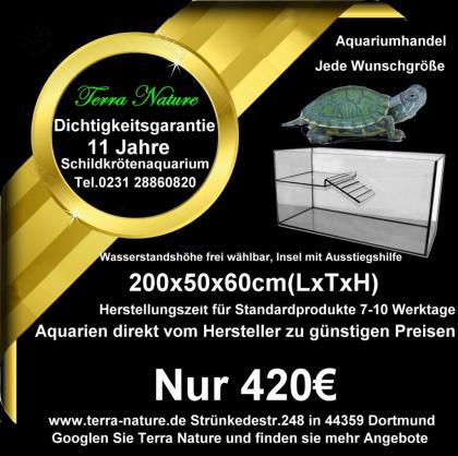Wasserschildkröten Aquarium mit Terrasse 160x60x70cm