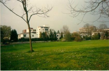 Luxus-Schwalbennest mit Eifelblick im grünen Kern von Düren !