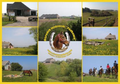 Reiterhof Podkowa - Reiten in Polen/Westpommern