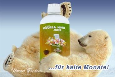 Direct Natur der Stern2021