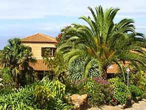 Finca Casa Vieja in Santa Ursula