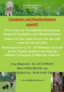 Gassigeher und Hundeschmuser gesucht