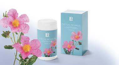 Cistus Kräutertee mit Pfefferminze  Neu& Kapseln