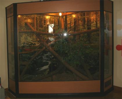 Terrarium (groß)