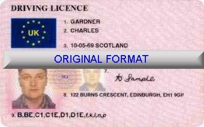Original-EU-Führerschein