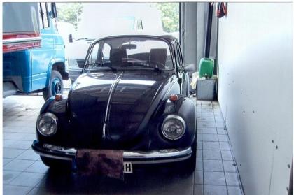 Käfer 1303