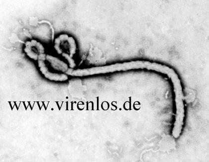 Domain www.virenlos.de wird verkauft