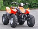 ATV Dolphin 50cc mit Zulassung