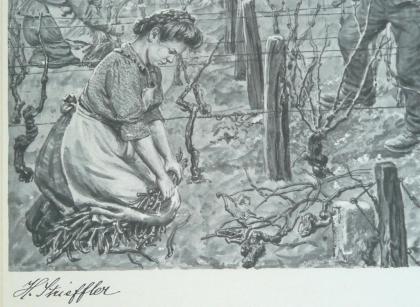 Strieffler Heinrich Rebenscheiden Serigraphie (B068)
