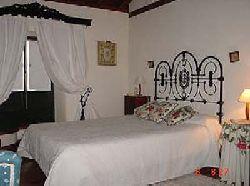 La ganania auf teneriffa