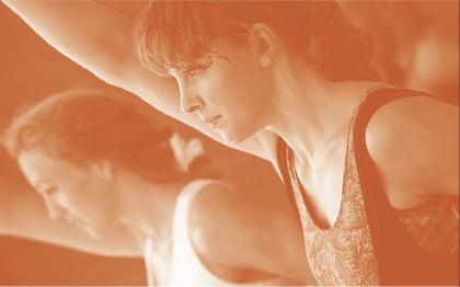 Workshops halten Dich up to date !