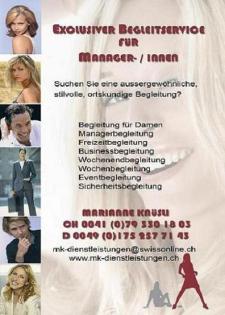 Begleitung für Manager-/Innen, Sicherheitsbegleitung, Personenüberwachung