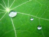 Wellnesscoach- ONLINE, intere