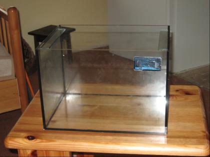 Kleines Glas-Aufzucht- Aquarium