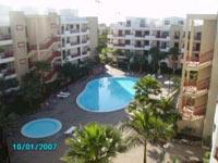 Penthouse Balandros in Palm Mar im Süden von Teneriffa