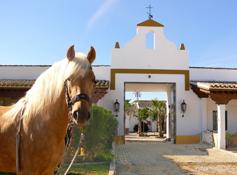 Www.Reiterflirt.eu und Hacienda El Boyal verlosen eine Woche Single-Urlaub in An