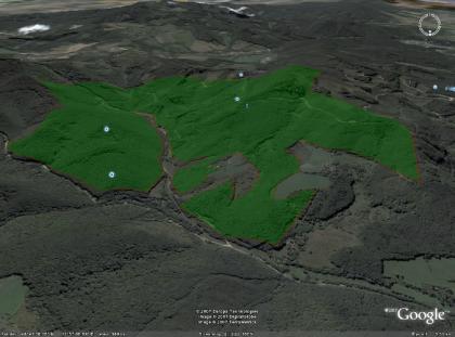 265 ha buche wald zu verkaufen