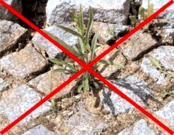 Selbständige, sicher Existenz als Dienstleister im Gartenbereich