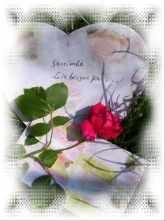 Gereimte Texte aller ART