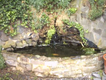 Junger Gartenbauer mit Natursteinerfahrung