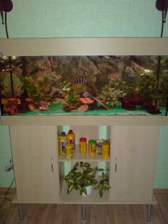 Verk. AQ,240l mit unterschr.,zubeh. und Besatz(Barsche Welse)