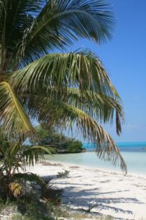 Mexico, Backpacker  Cancun ab 852 €