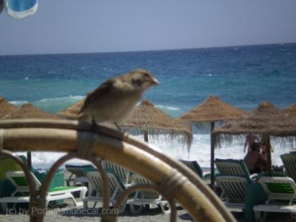 Urlaub in Spanien - günstig