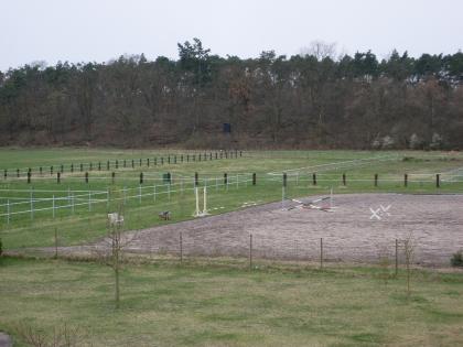 PFEREDEBOX MIT ANGRENZENDEM SANDPADDOCK FREI
