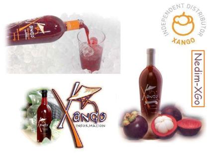 XanGo Fruchtgetränk - Arbeiten von Zuhause - Nebenjob - Alleinerziehende