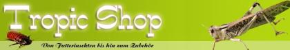 Heuschrecke , Heimchen , Grillen , Terraristik , Futtertiere