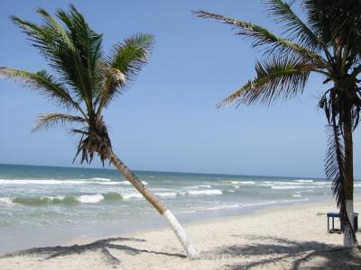 Venezuela, Isla de Coche, All Inclusive  Flug ab 669 Euro