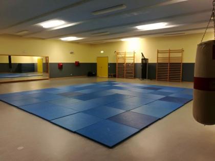 Boxen und Kickboxen in Güstrow