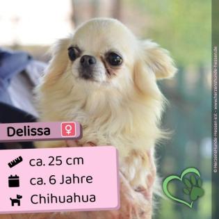 Delissa - freundlich, lieb