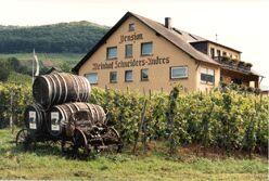 Sommer im Moseltal 4x Halbpension 120,-€ pro Person