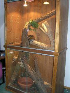 Großes Terrarium aus Holz abzugeben