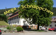 Eigentumswohnung Bad Wildbad im Schwarzwald