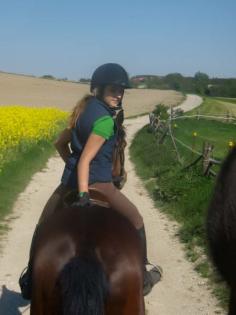 Suche REITBETEILIGUNG | Englischer reistil