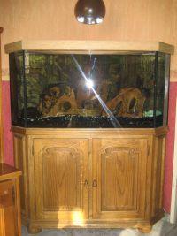 Komplettes Eck Aquarium mit Unterschrank