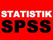 Berlin:NACHHILFE STATISTIK / SPSS von Statistik-Dozenten