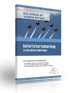 Bezahlte Umfragen - Online Geld verdienen - Gratis eBook