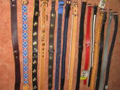 Halsbänder verschiedene Grössen/Formen ab 3 Euro