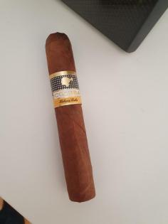 Zigarren Cohiba Robusto