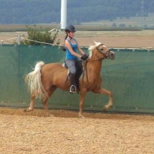 14 Jährige aus Stuttgart such Rb auf Pony in der Nähe
